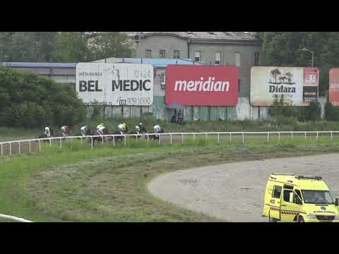 Peta trka Beograd 02 07 2023 101 VISARIS SRPSKI DERBI