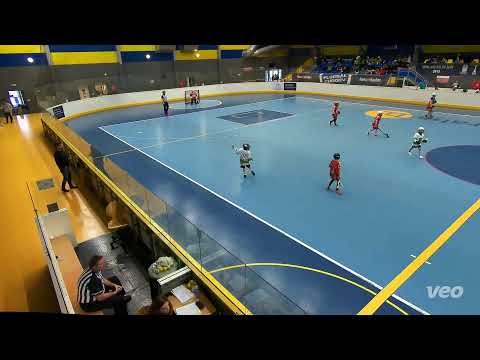 JBLL 2025/2026 vs 5.kolo U10 Old Dogs Plzeň vs. LCC Ants