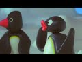 Pingu S05E21 Pingu And The Snowball