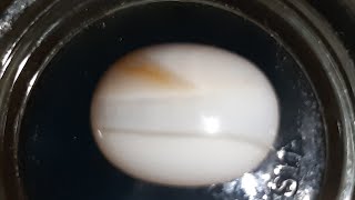 Download lagu Manfaat dan khasiat batu akik Sulaiman putih susu mp3