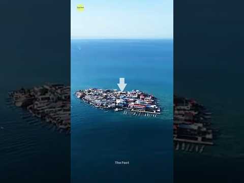 Most Crowded Island 🏝️