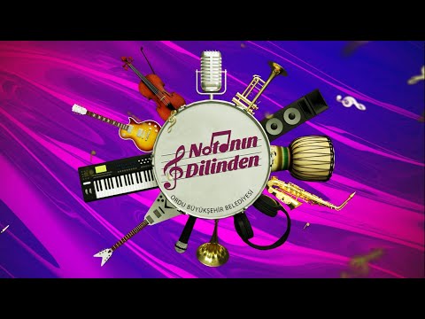 Mehmet Uğur Ulaş ve Gitar