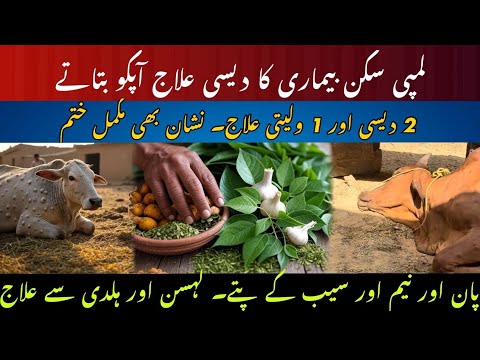 Desi treatment of lumpy skin disease II Lumpy skin outbreak II Remove lumpy skin marks on cows