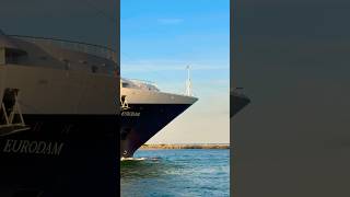 MS Eurodam 🛳️ #like #share #comment #subscribe #cruiseship #cruise #vacation #shorts #short #fun