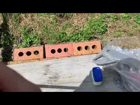 Air Rifle Dieseling for Extreme Power Gain!