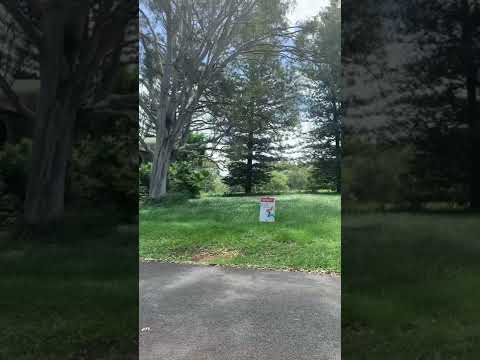 29 Pier Haven, Lamb Island, QLD 4184, 0房, 0浴, Section