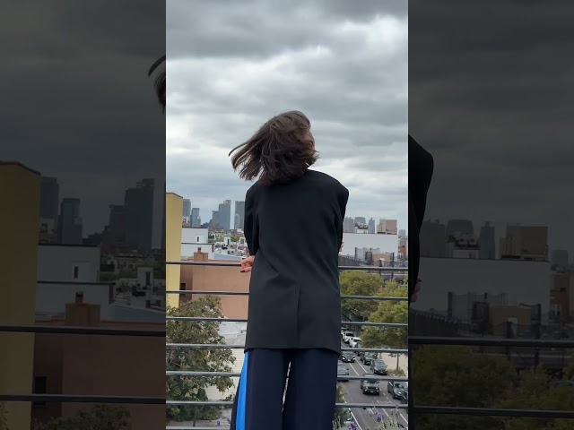 Preview image: Video 2