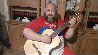 "Der Königsjodler" (Fredl Fesl Cover) gespielt mit der Gitarre 
