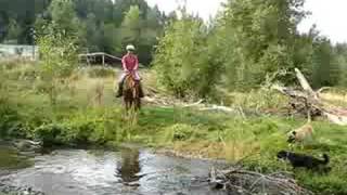 preview picture of video 'Hanna - Shann's warmblood in the creek'