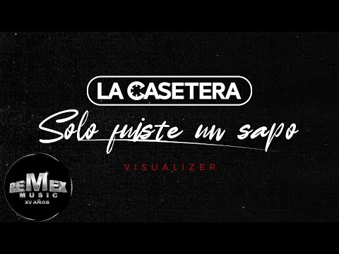 Miniatura de Solo Fuiste Un Sapo