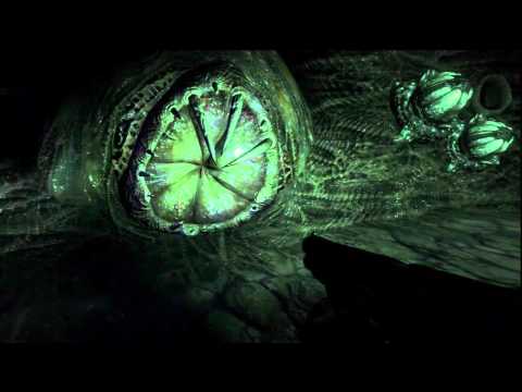 Duke Nukem Forever CHAPTER 8 (2/2) The Hive: Part 2 Walkthrough/Let's Play