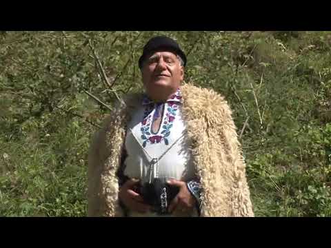 Doruri Muscelene si Gavriil Prunoiu -  Bradule, Bradutule