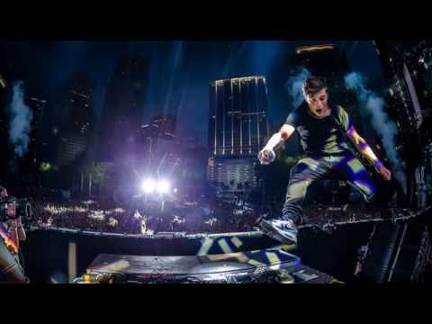 Dubvision,Porter Robinson,Sigma - Backlash vs Lionhearted vs Nobody To Love (Martin Garrix Mashup)