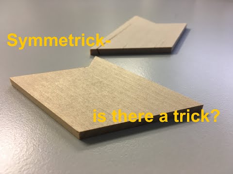 The perplexing Symmetrick - World of Puzzles #7