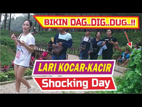 hutan-pinus-limpakuwus-bushman-prank-best-reactions-prank-manusia-pohon