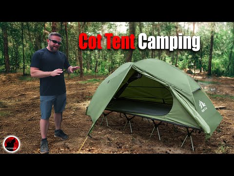 Everything That You Need To Know About The Night Cat Cot Tent