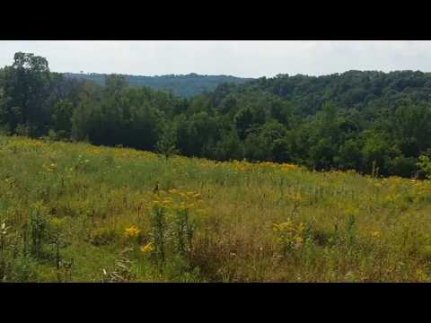 R-1247 - Hobby Farm - Country Home - Recreational Land on 40 Acres for sale in WI