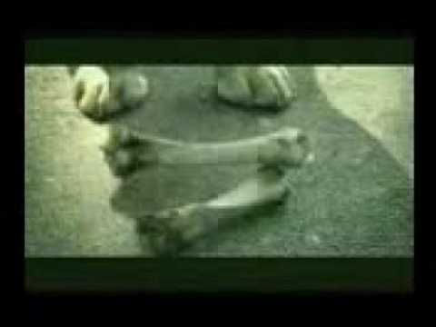 Now the Test continues