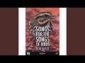 Song For The Song Of The Canada Geese