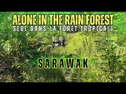 🇲🇾🛠️ Power outage and jungle - Borneo Part 9 - Malaysia - Around the world in a sidecar