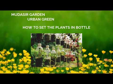 "Introduction to Digi-Expand Agency | Digital Marketing & Growth Solutions"