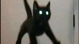 Cover art for little floating black cat theme