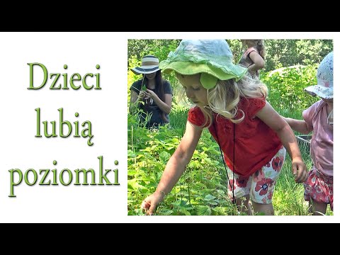 Dzieci lubią poziomki - Ogrodowe pierdamony 101