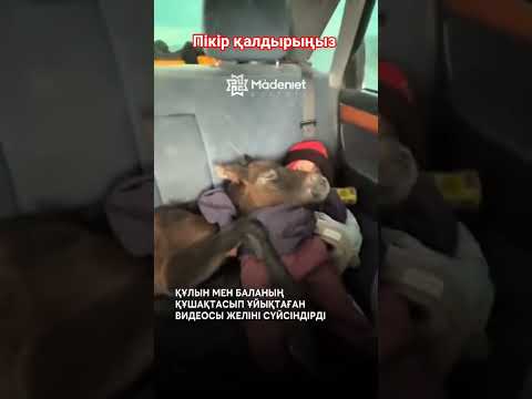 пікір жазамыз