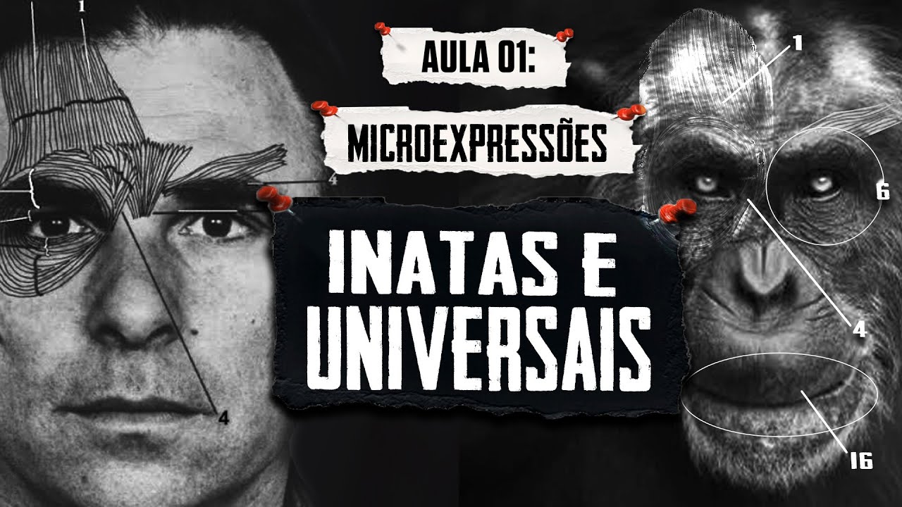Microexpressões Faciais: Entenda essa CIÊNCIA (Linguagem Corporal - Metaforando)