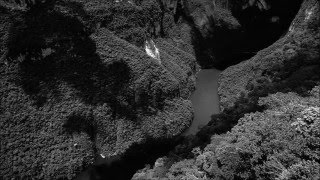 Nighthawks  - Hace mucho