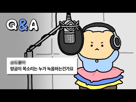 아무것도 답하지 않았지만 그래도 괜찮은 Q&A