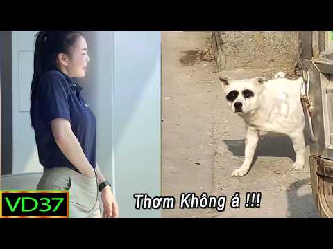 Tạp Chí Cười : Những thằng ngu nhất hành tinh 2026 ! (Phần 15) | Cười Mỗi Ngày