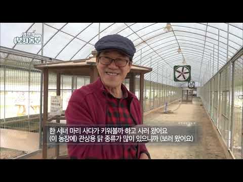 , title : '[40회] '반려닭' 사육으로 연매출 20억!! '충북 진천군 석지훈 부자농부''