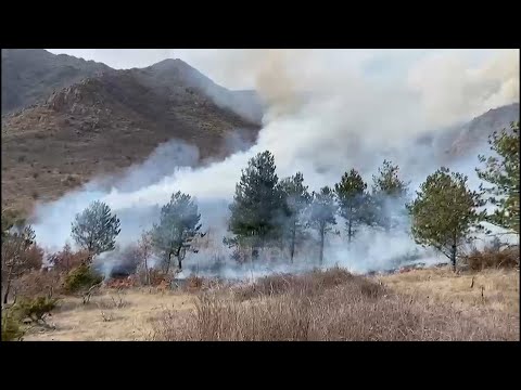 Qindra hektar pyje e kullota përfshihen nga zjarri në Klos