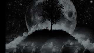 Vytautas Vitkauskas &amp; Engelbert Humperdinck - Under The Man In The Moon