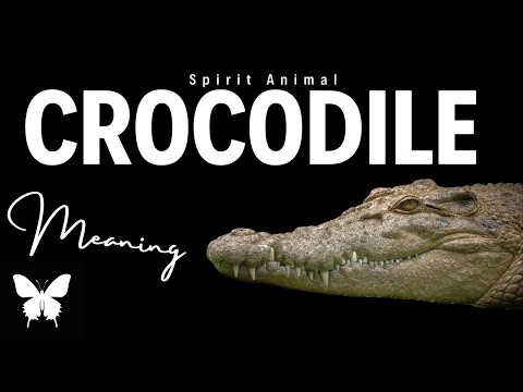 Crocodile Spirit Animal | Crocodile Spirit Guide | Crocodile Symbolism | Crocodile Totem