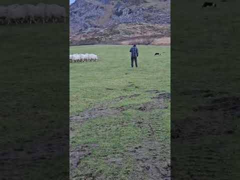 LOT 28 - NANTCOL SMART (1)