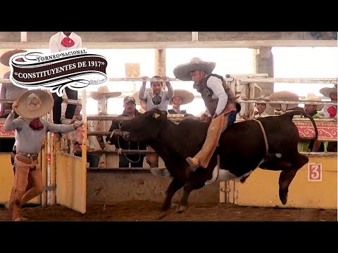 Bull Riding February 20 - Constituyentes Tournament of 1917 Arroyo Negro 2022