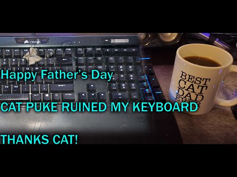 My cat puked on my keyboard and now it doesn't work