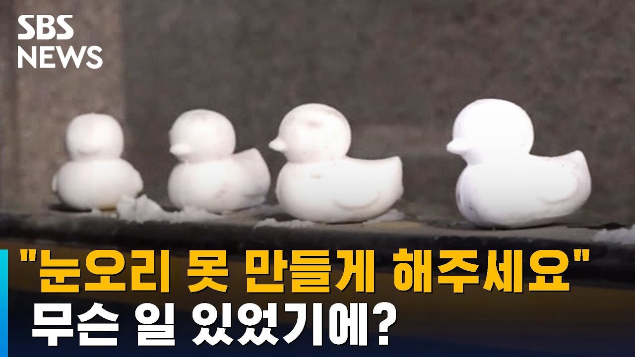 '눈오리' 못 만들게 해주세요…무슨 일 있었기에? / SBS