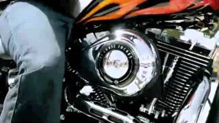 Реклама Harley-Davidson: Звільнення собак