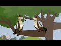 Mr Snail Woodpecker 720p 200916