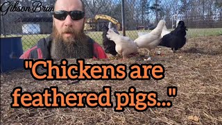 Don't Have Chickens?? 10 Reasons You SHOULD!!
