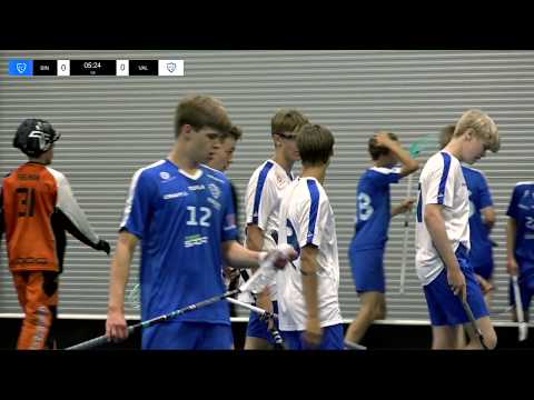 Maalikooste: Sininen - Valkoinen 4-9 (U16 pojat, maajoukkueleiri 10.7.2020)