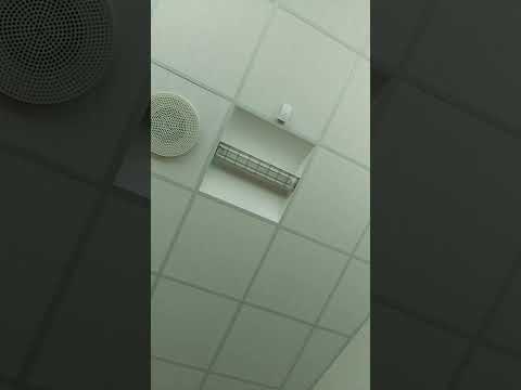 Tidligere hjemløs slæbes i Fogedretten for 150 kr 🙈