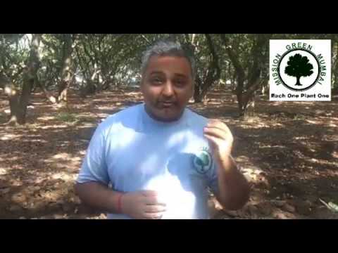 Subhajit Mukherjee on Mission Green Mumbai