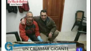 preview picture of video 'Calamar gigante en la playa de Covas - Viveiro (Lugo)'