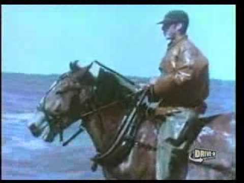 Stompin' Tom, the Irish Moss