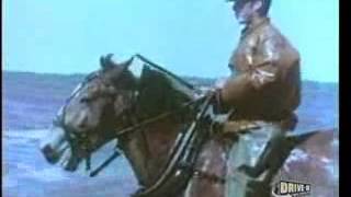 Stompin&#39; Tom, the Irish Moss