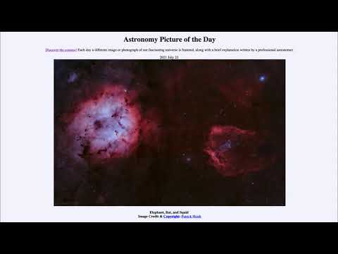 2021 July 23 - Elephant, Bat, and Squid